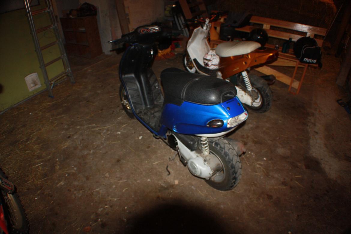 Piaggio Typhoon 'æ tyffe' billede 6