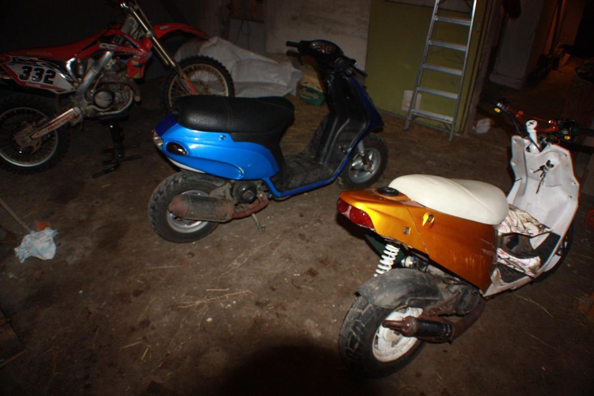 Piaggio Typhoon 'æ tyffe' billede 7