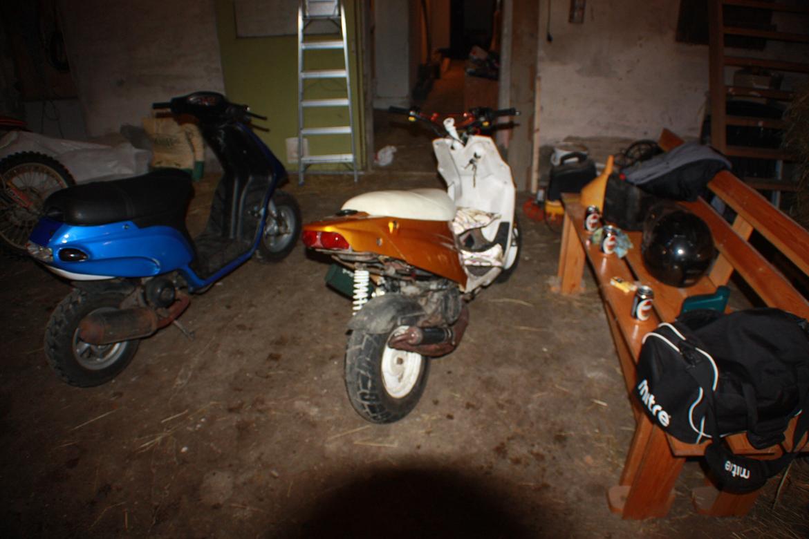 Piaggio Typhoon 'æ tyffe' billede 10