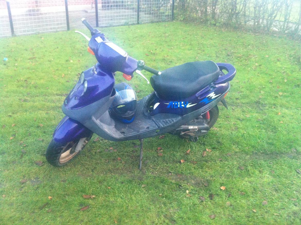 Adly Cat 50 SOLGT billede 1