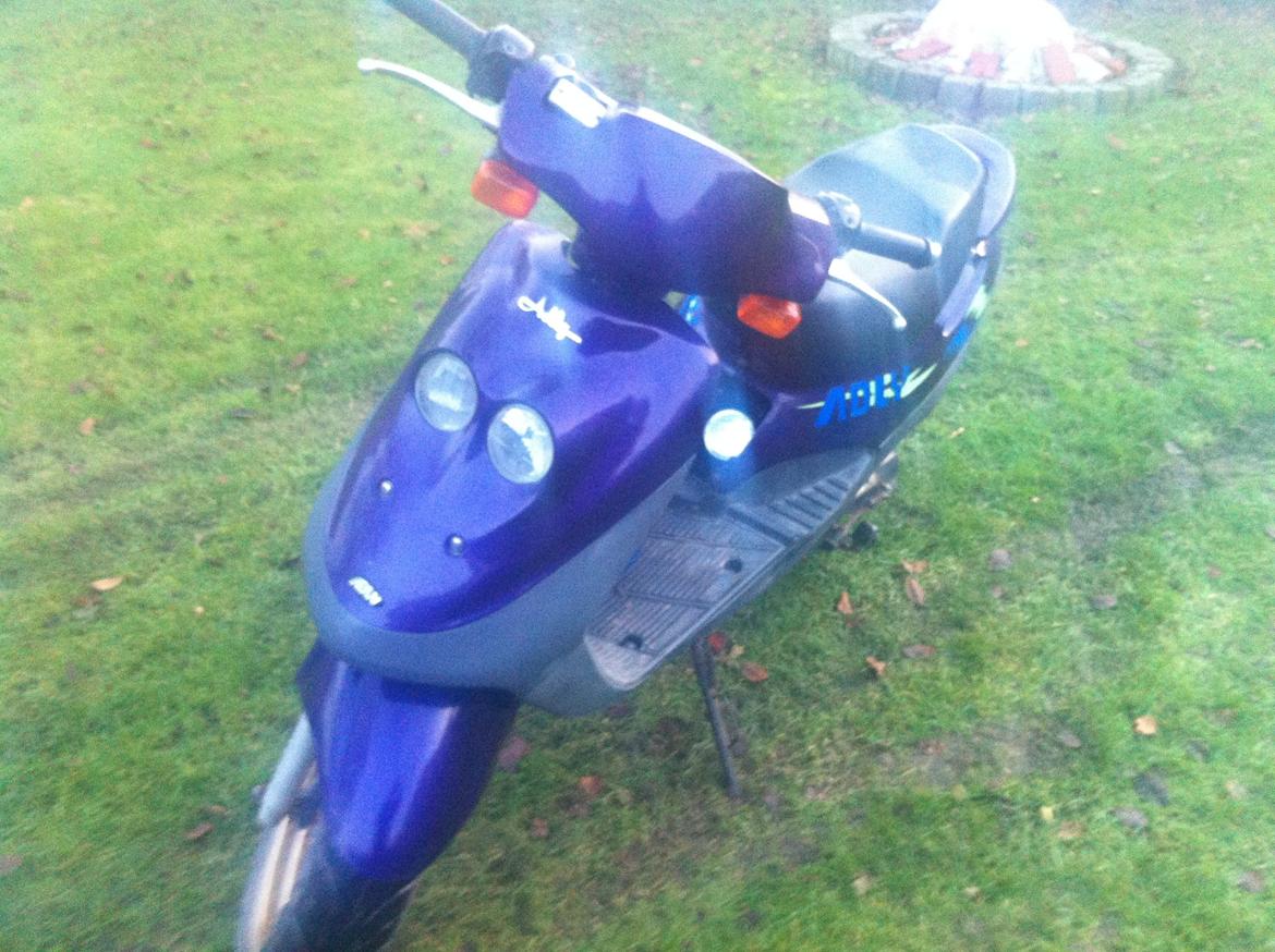 Adly Cat 50 SOLGT billede 2