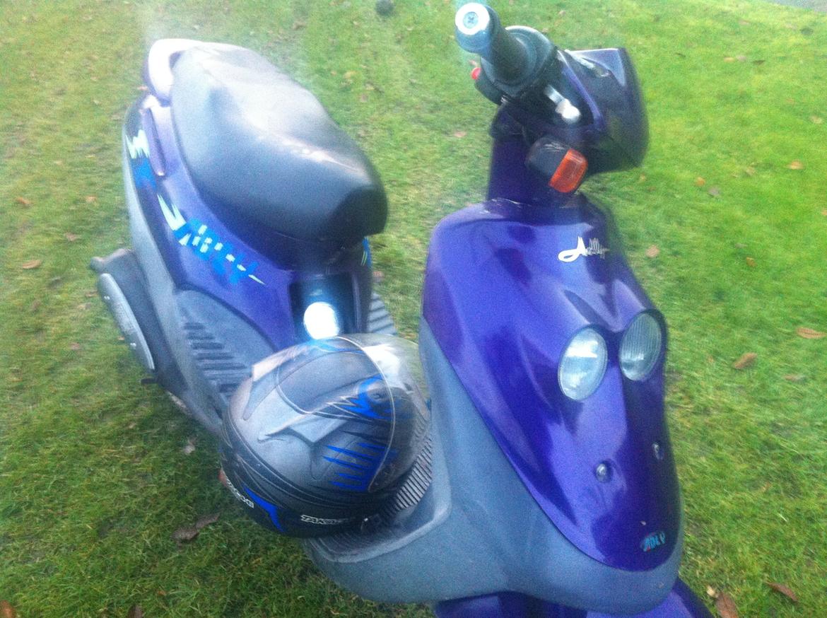 Adly Cat 50 SOLGT billede 3