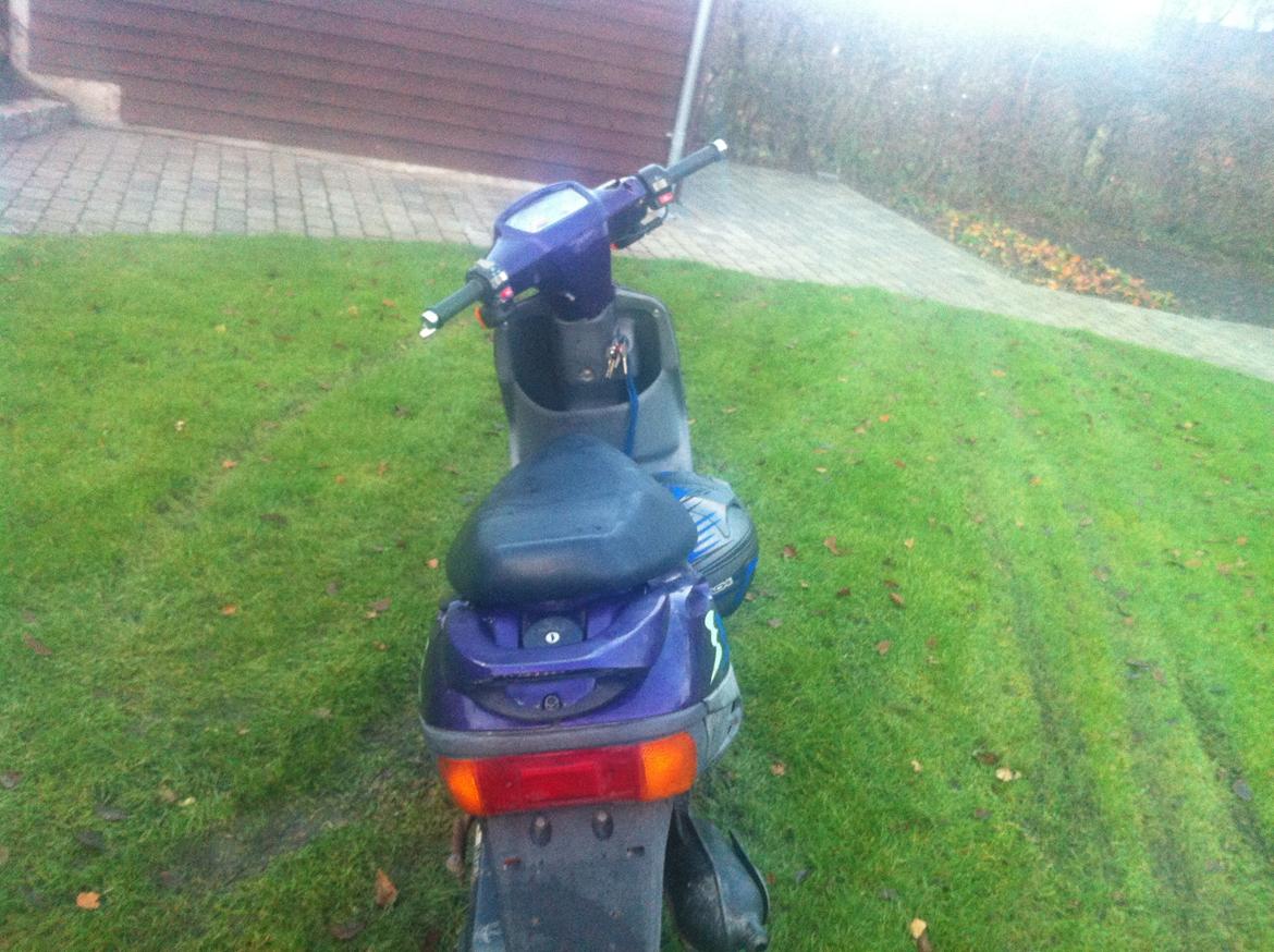 Adly Cat 50 SOLGT billede 6