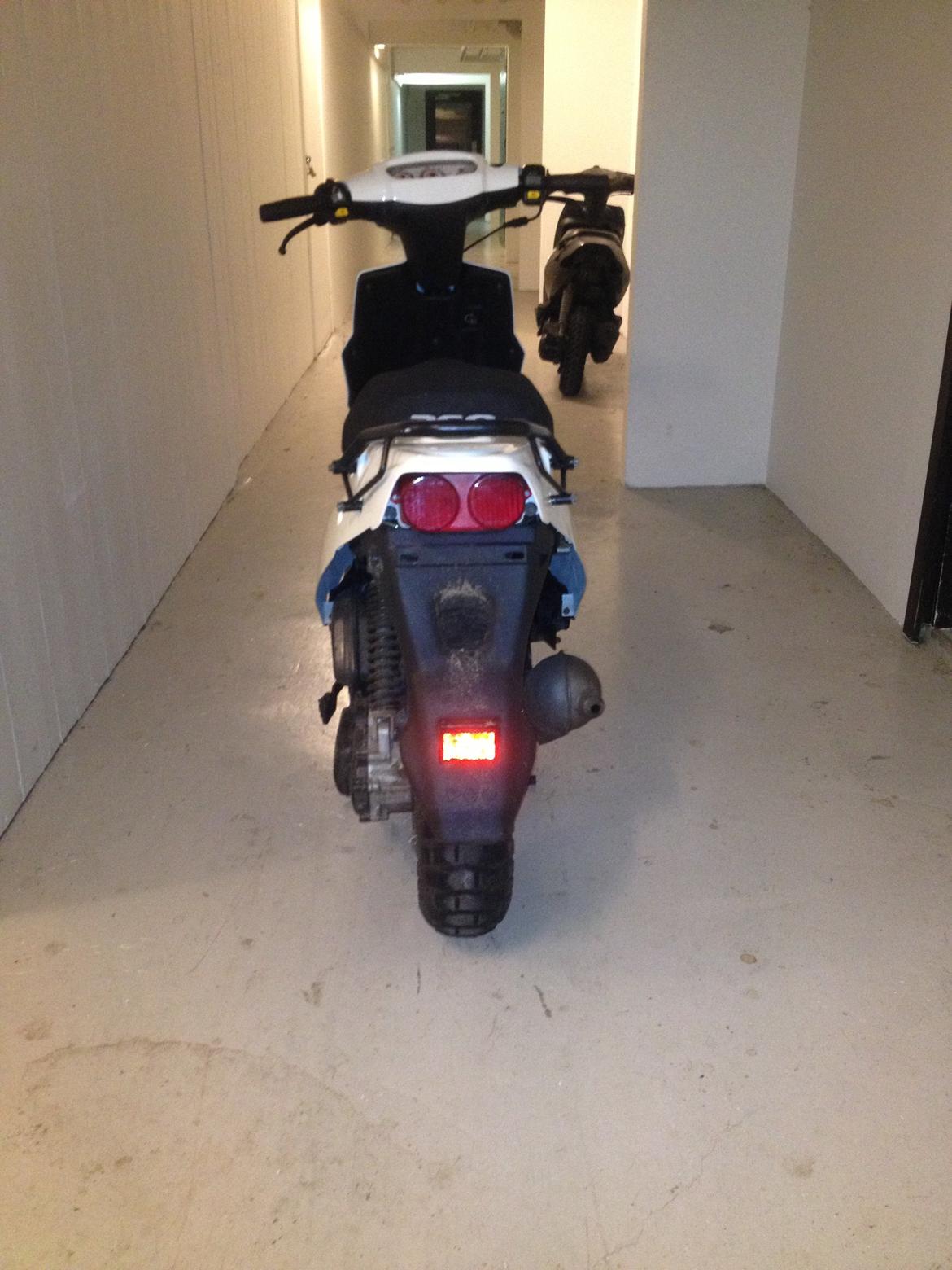 PGO Hot 50 billede 3