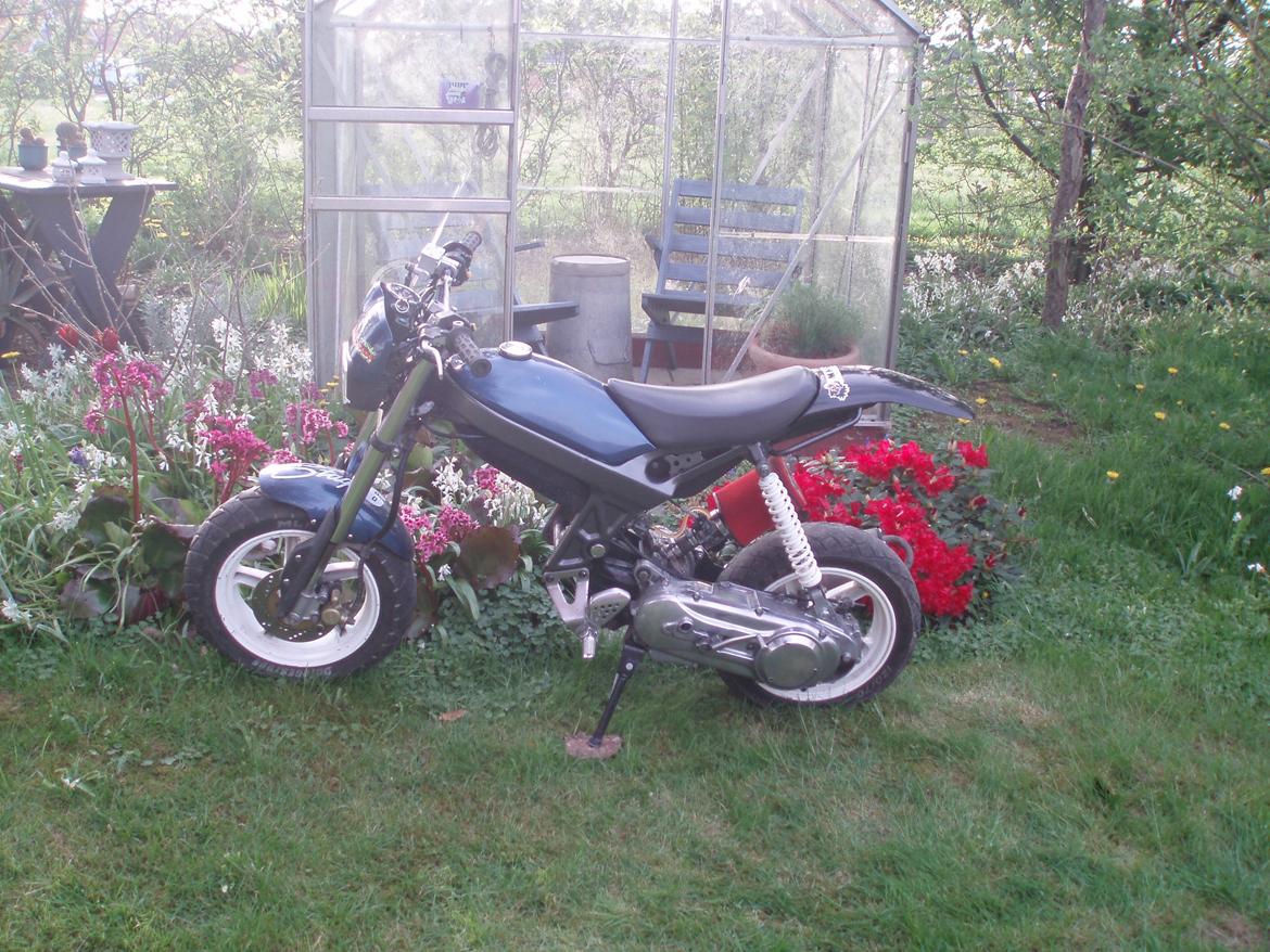 Suzuki Street magic billede 3