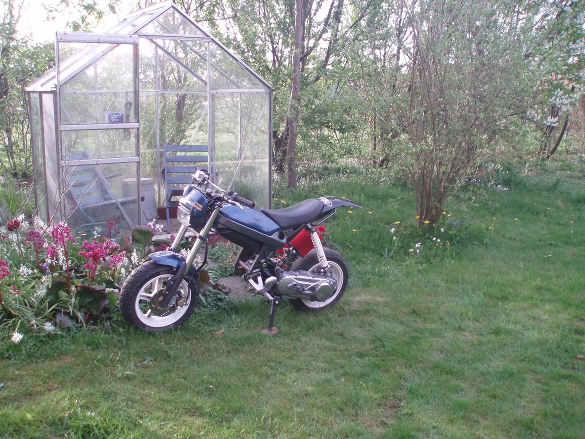 Suzuki Street magic billede 4