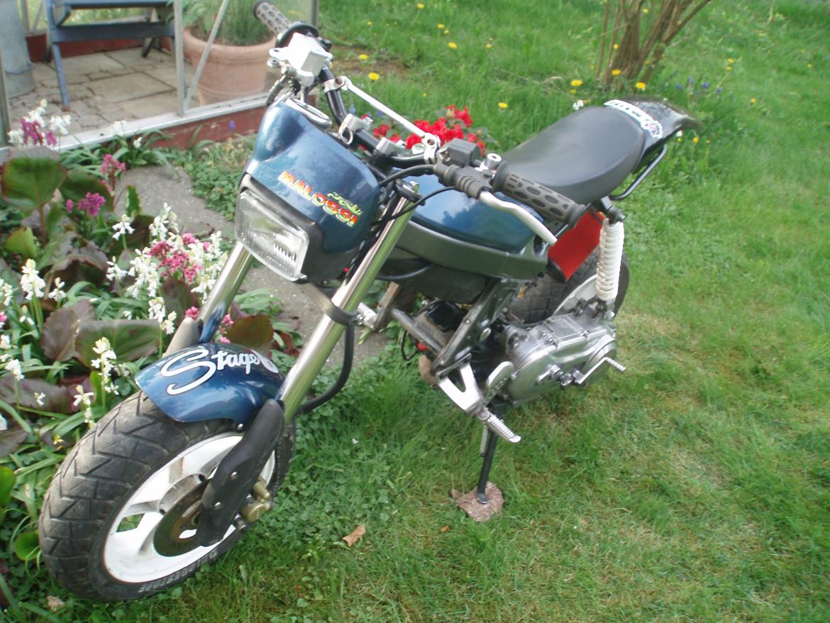 Suzuki Street magic billede 5