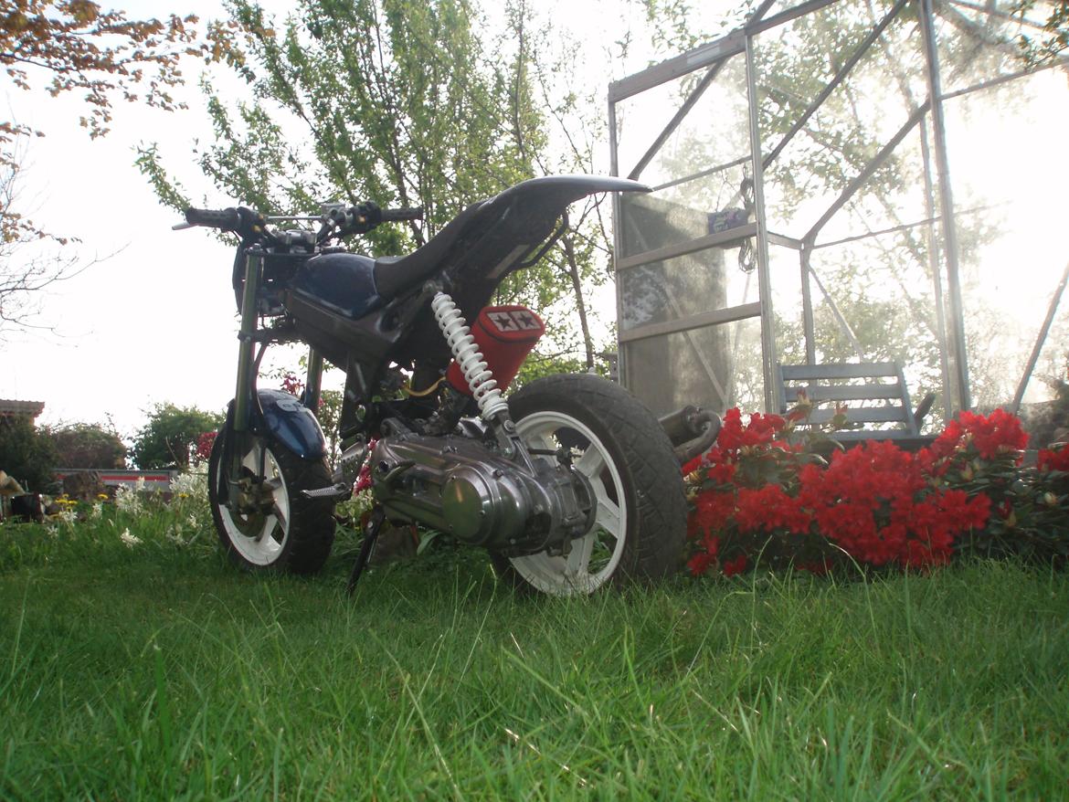 Suzuki Street magic billede 6