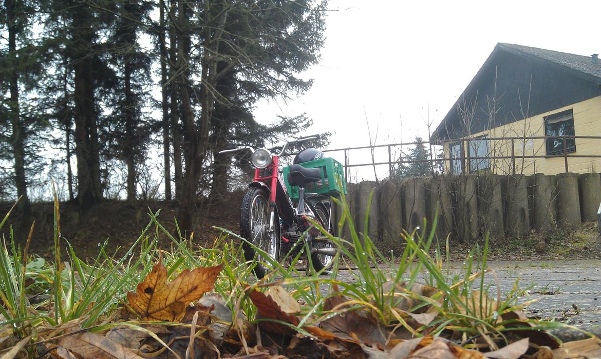 Puch Maxi K billede 3