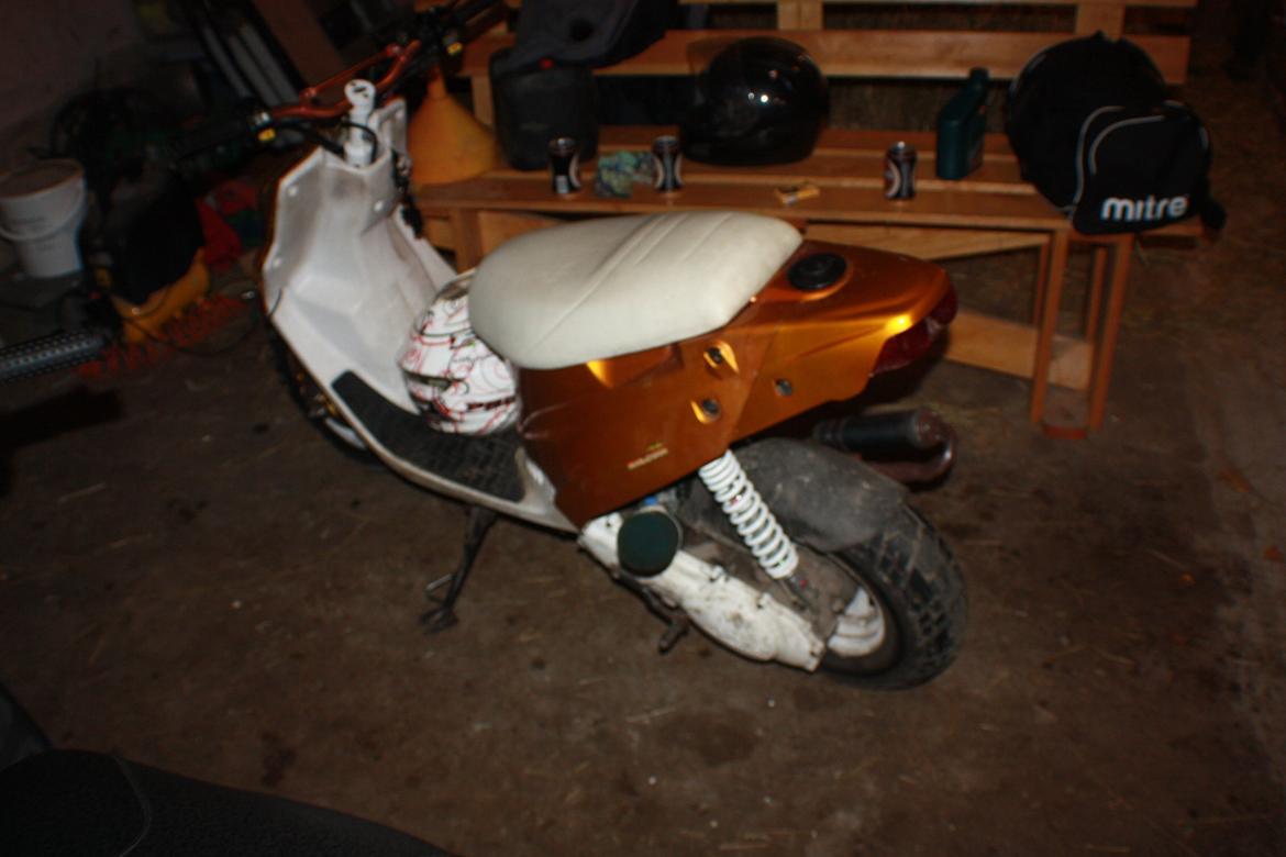 PGO Hot 'Æ vilddyr' billede 14