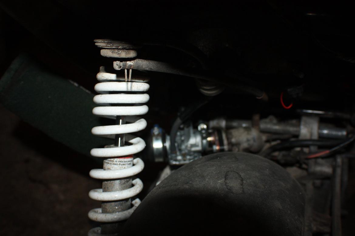 PGO Hot 'Æ vilddyr' billede 15