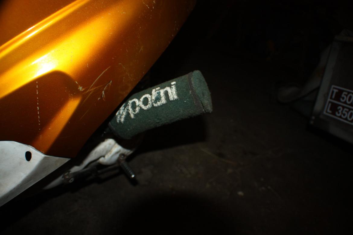 PGO Hot 'Æ vilddyr' billede 16