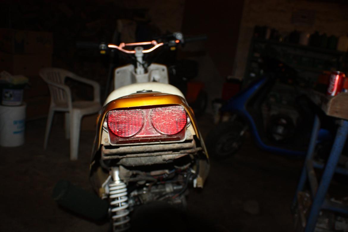 PGO Hot 'Æ vilddyr' billede 17