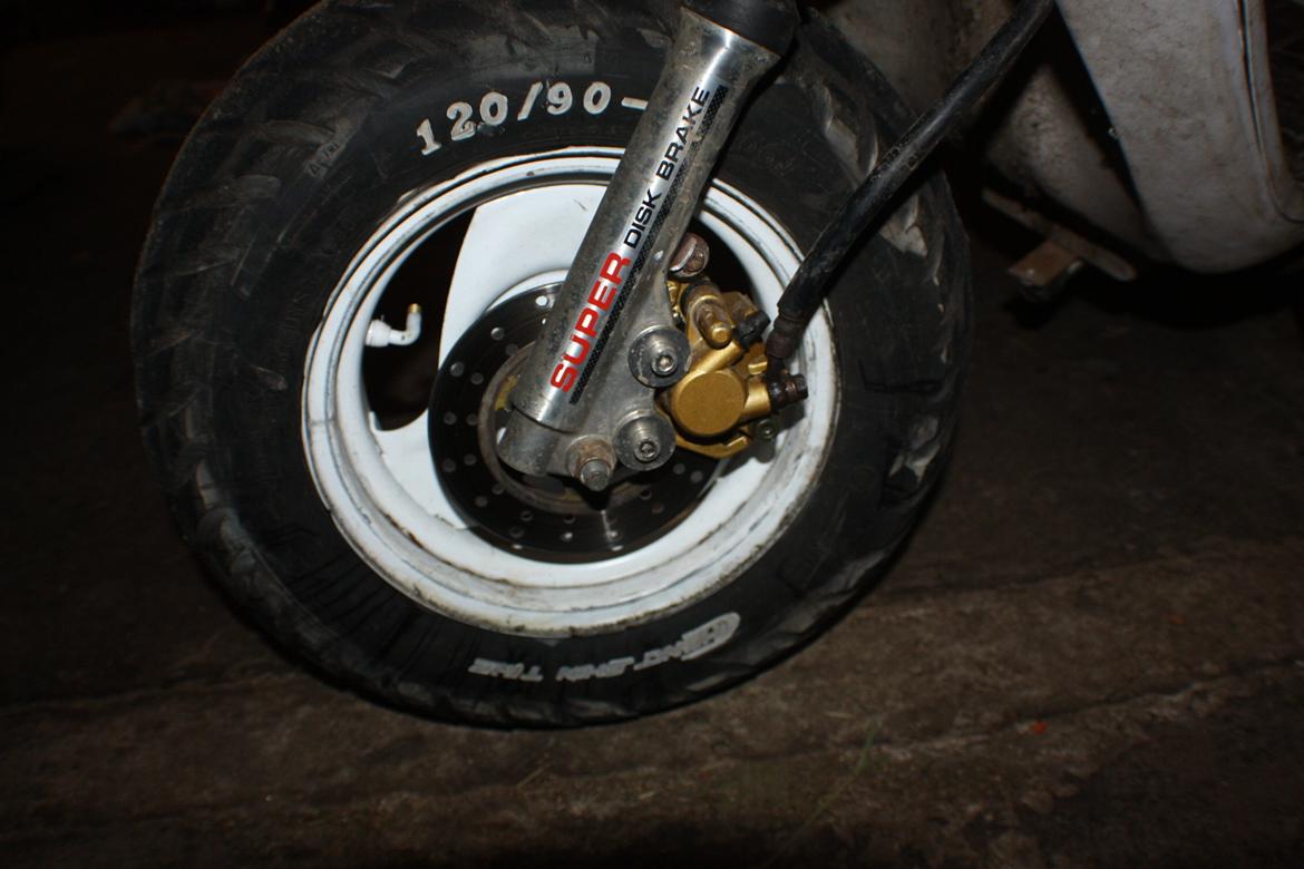 PGO Hot 'Æ vilddyr' billede 19