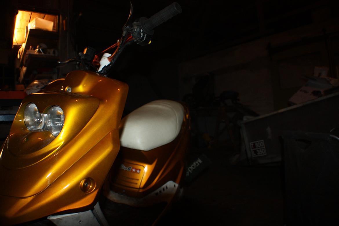 PGO Hot 'Æ vilddyr' billede 5