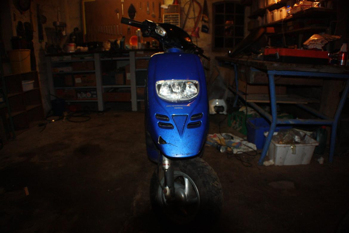 Piaggio Typhoon 'æ tyffe' billede 13