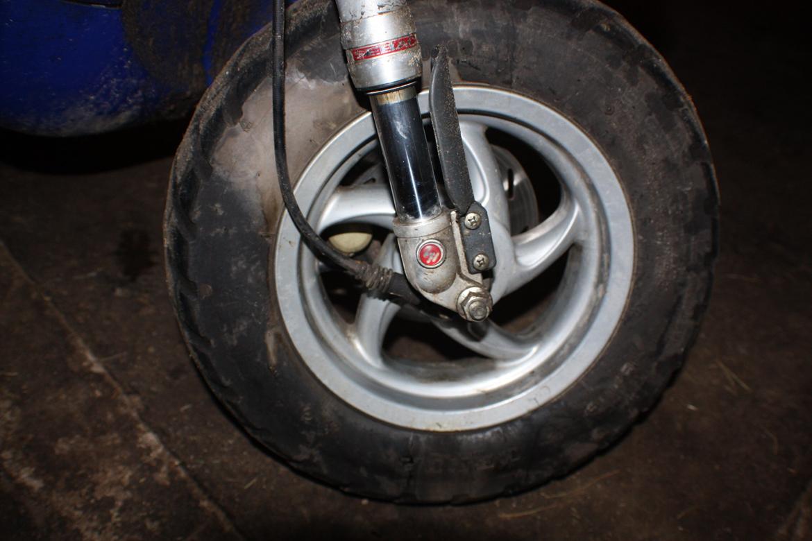 Piaggio Typhoon 'æ tyffe' billede 15