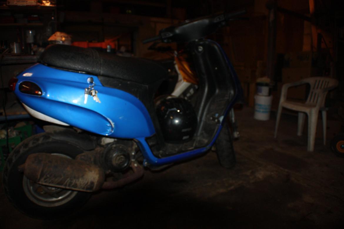 Piaggio Typhoon 'æ tyffe' billede 18