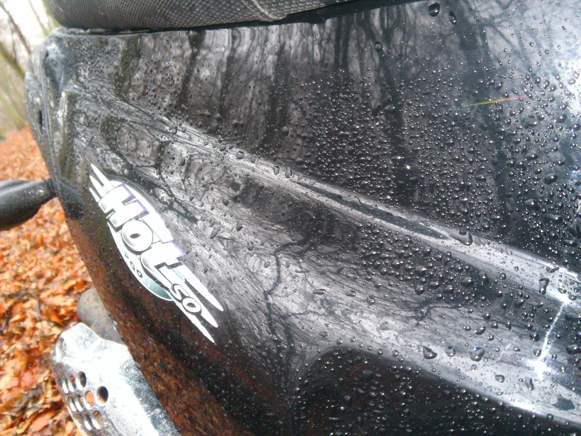 PGO HOT50[Tidl. scooter] billede 2