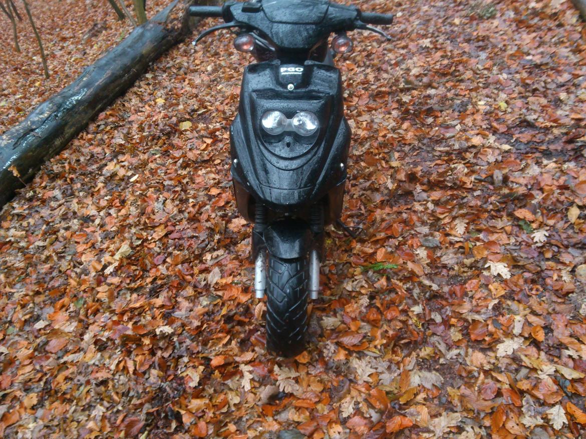 PGO HOT50[Tidl. scooter] billede 4