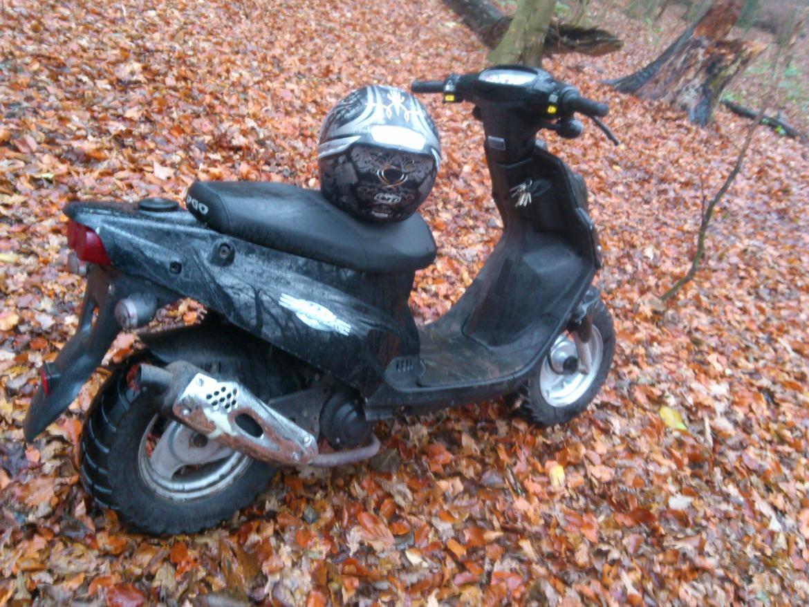 PGO HOT50[Tidl. scooter] billede 7