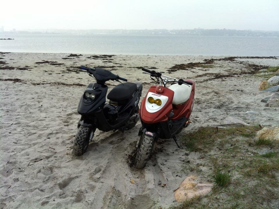 PGO HOT 50 - Så kom der sku bartstyr på :)
Begge hotte før! billede 4