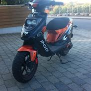 PGO Hot 50