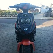 PGO Hot 50