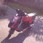 Aprilia sonic