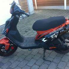 PGO Hot 50