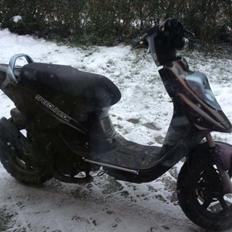 PGO Hot50 (Isabella)