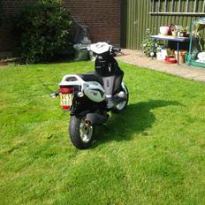 PGO pmx sport