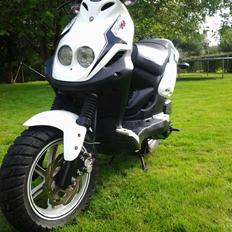 PGO pmx sport