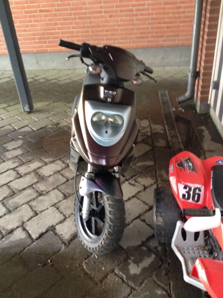 PGO Hot50 (Isabella) billede 5