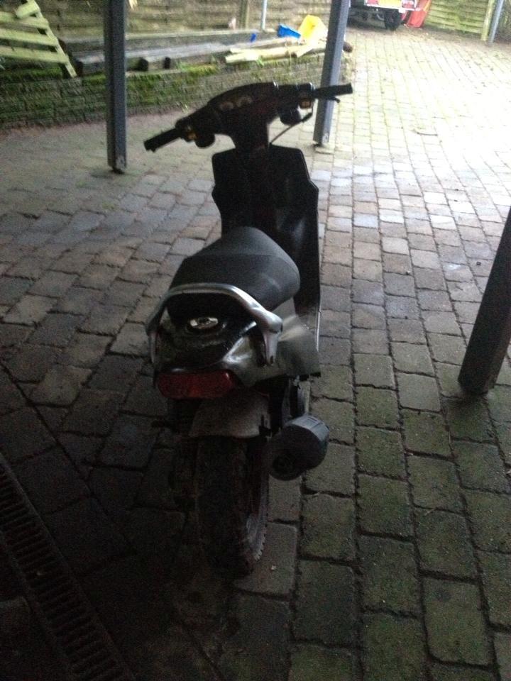 PGO Hot50 (Isabella) billede 8