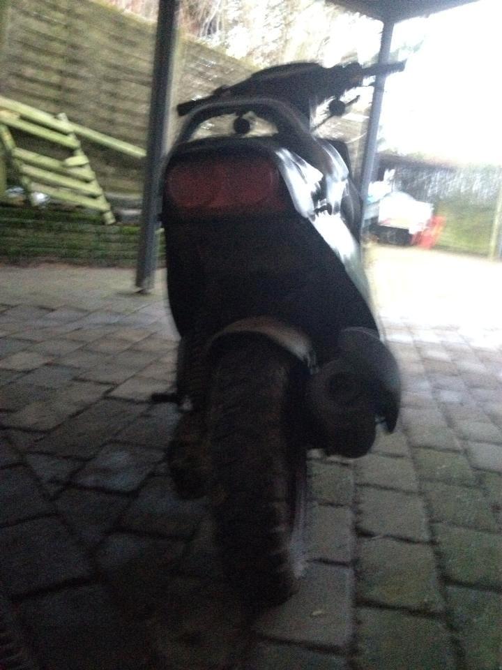 PGO Hot50 (Isabella) billede 9