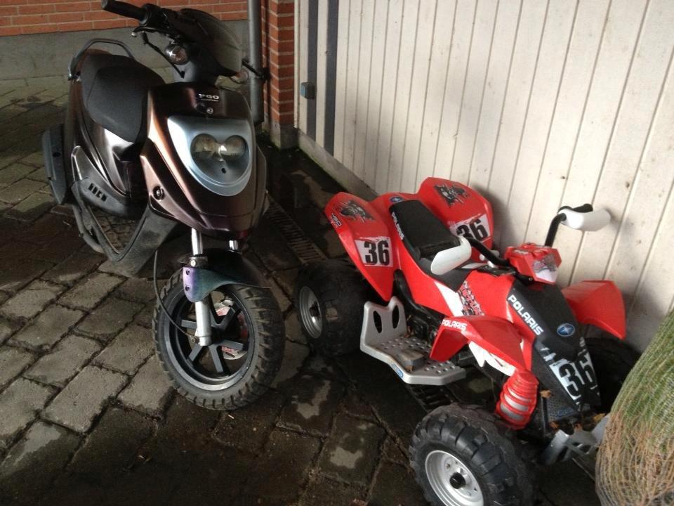 PGO Hot50 (Isabella) billede 10