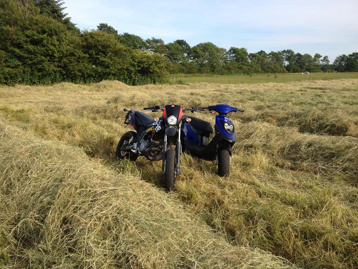 Derbi Senda sm 50 billede 7