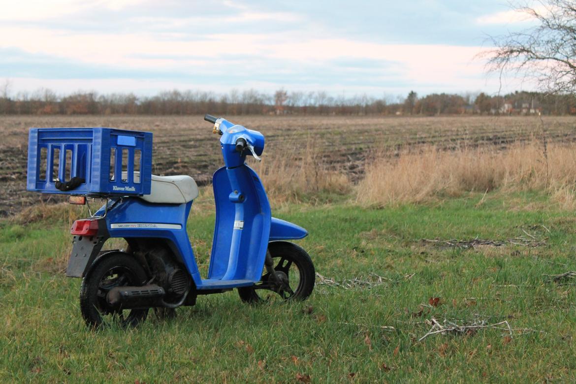 Honda Melody Mini billede 2