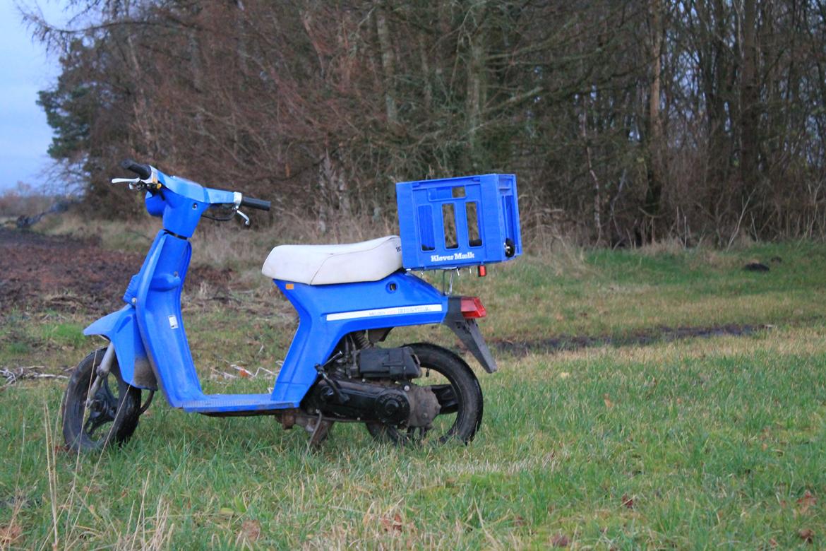 Honda Melody Mini billede 3