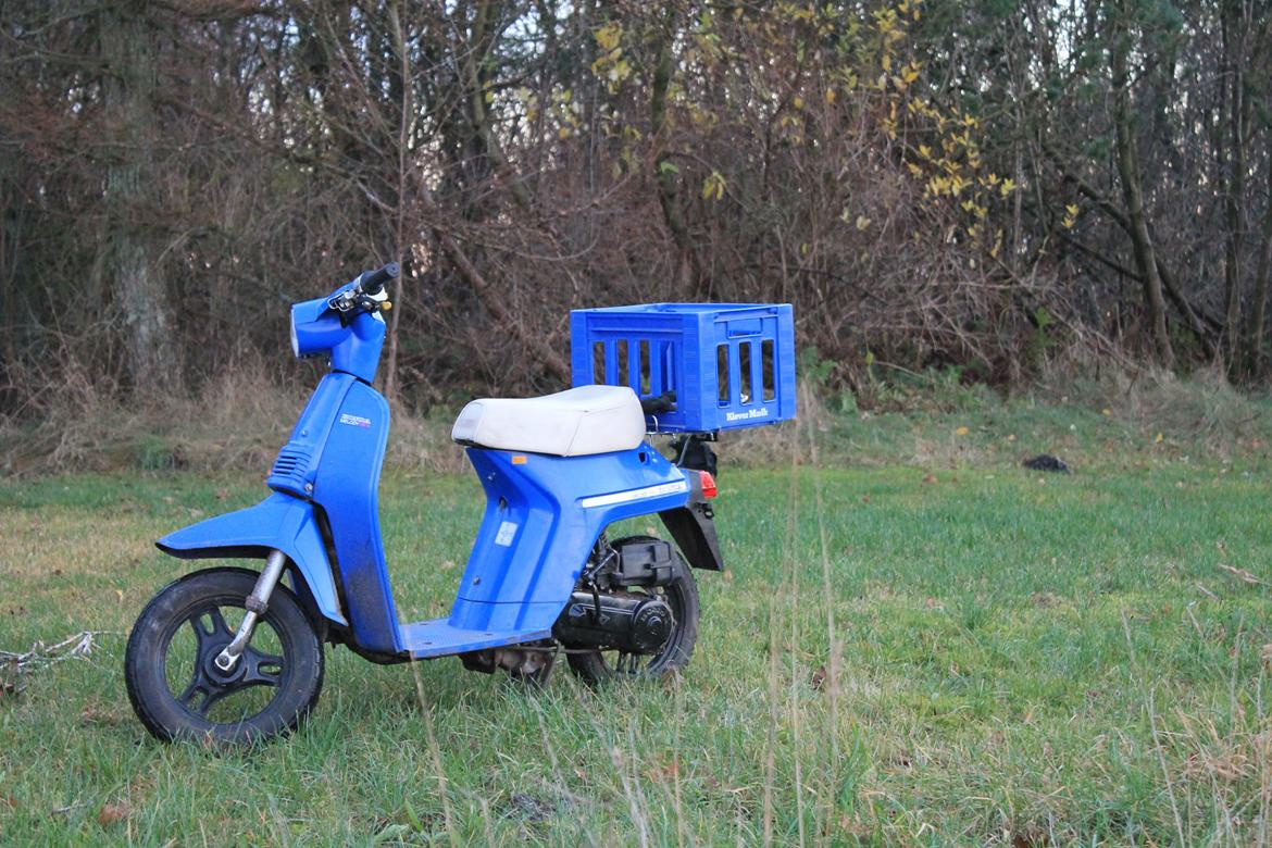 Honda Melody Mini billede 4