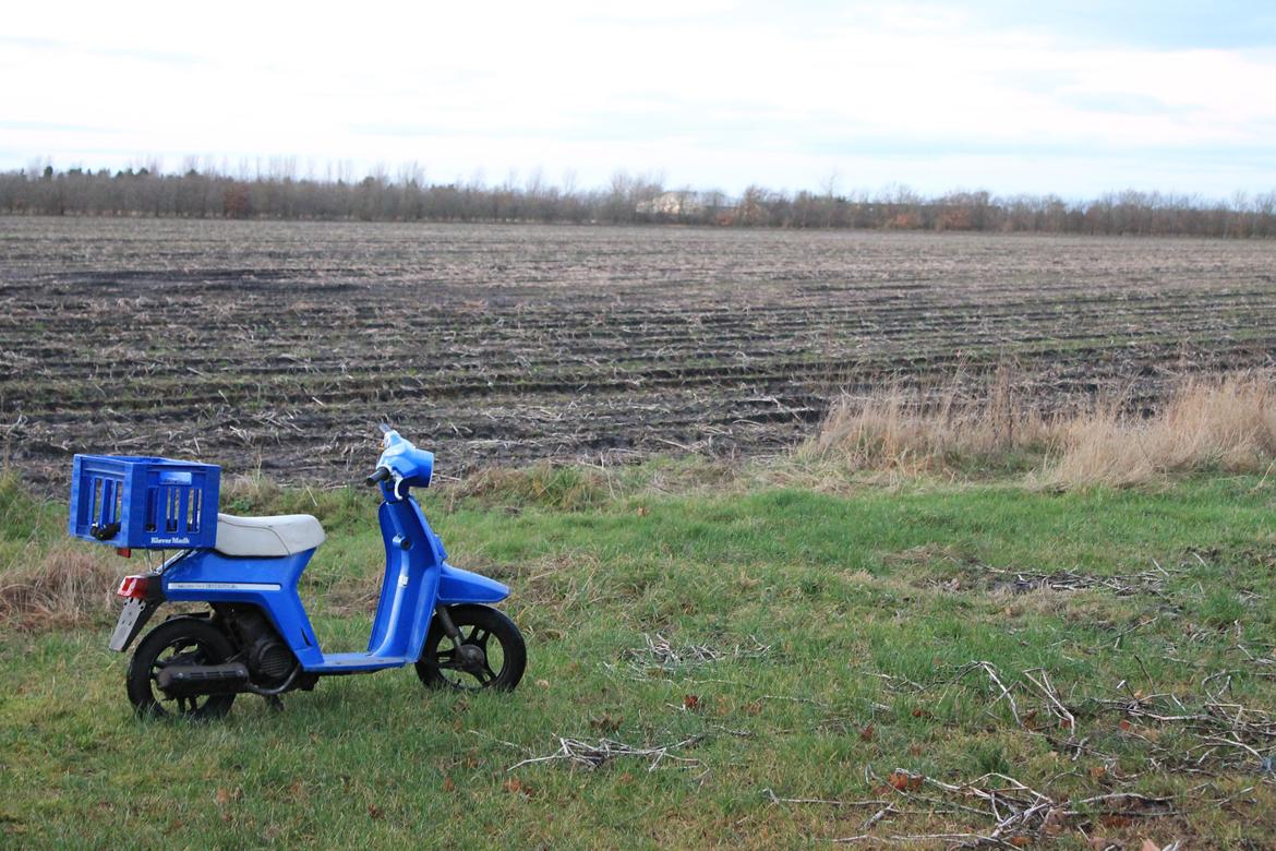 Honda Melody Mini billede 5