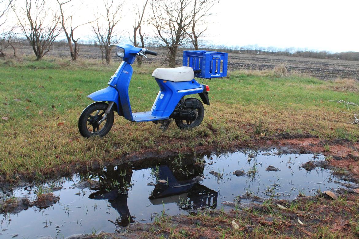 Honda Melody Mini billede 6