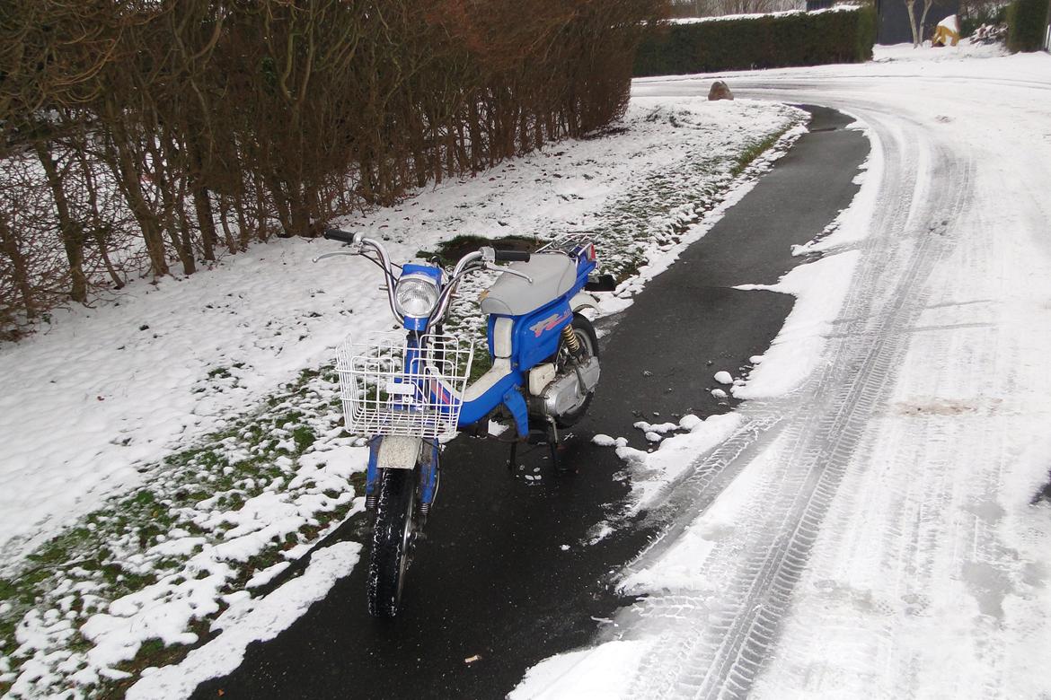 Suzuki Fz 50 (Solgt) billede 2