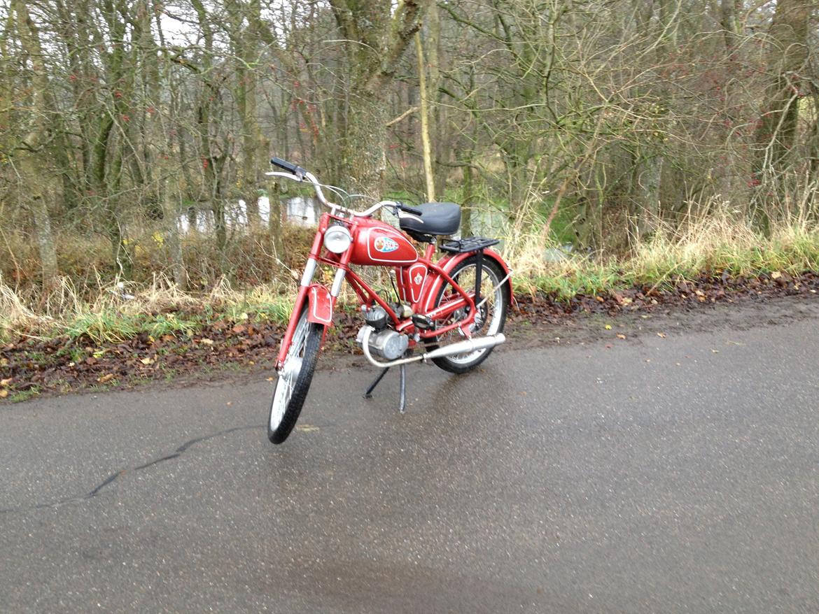 Sco 1 gears billede 1