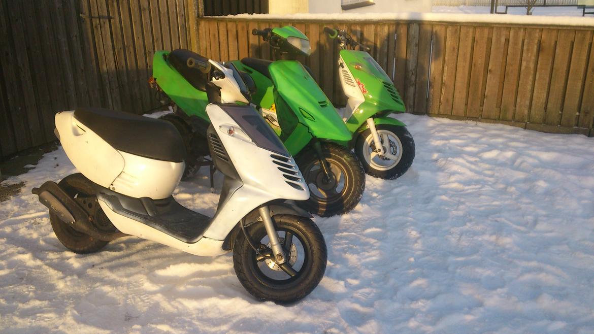 Kreidler Easy Rider billede 9