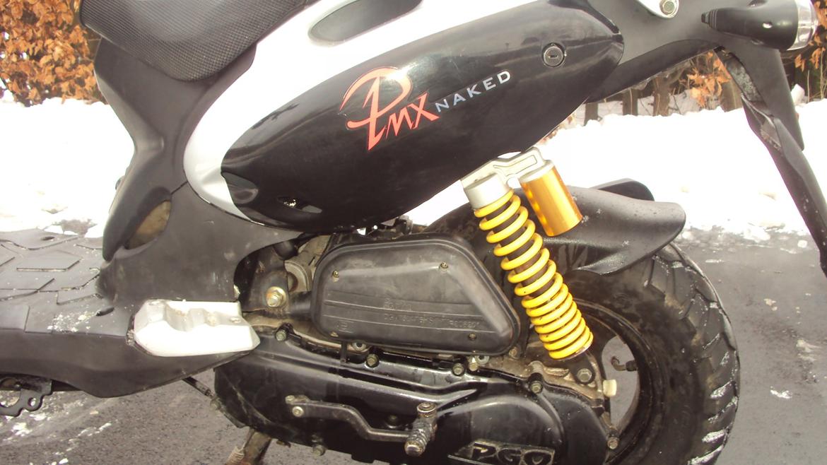 PGO Pmx Naked billede 9