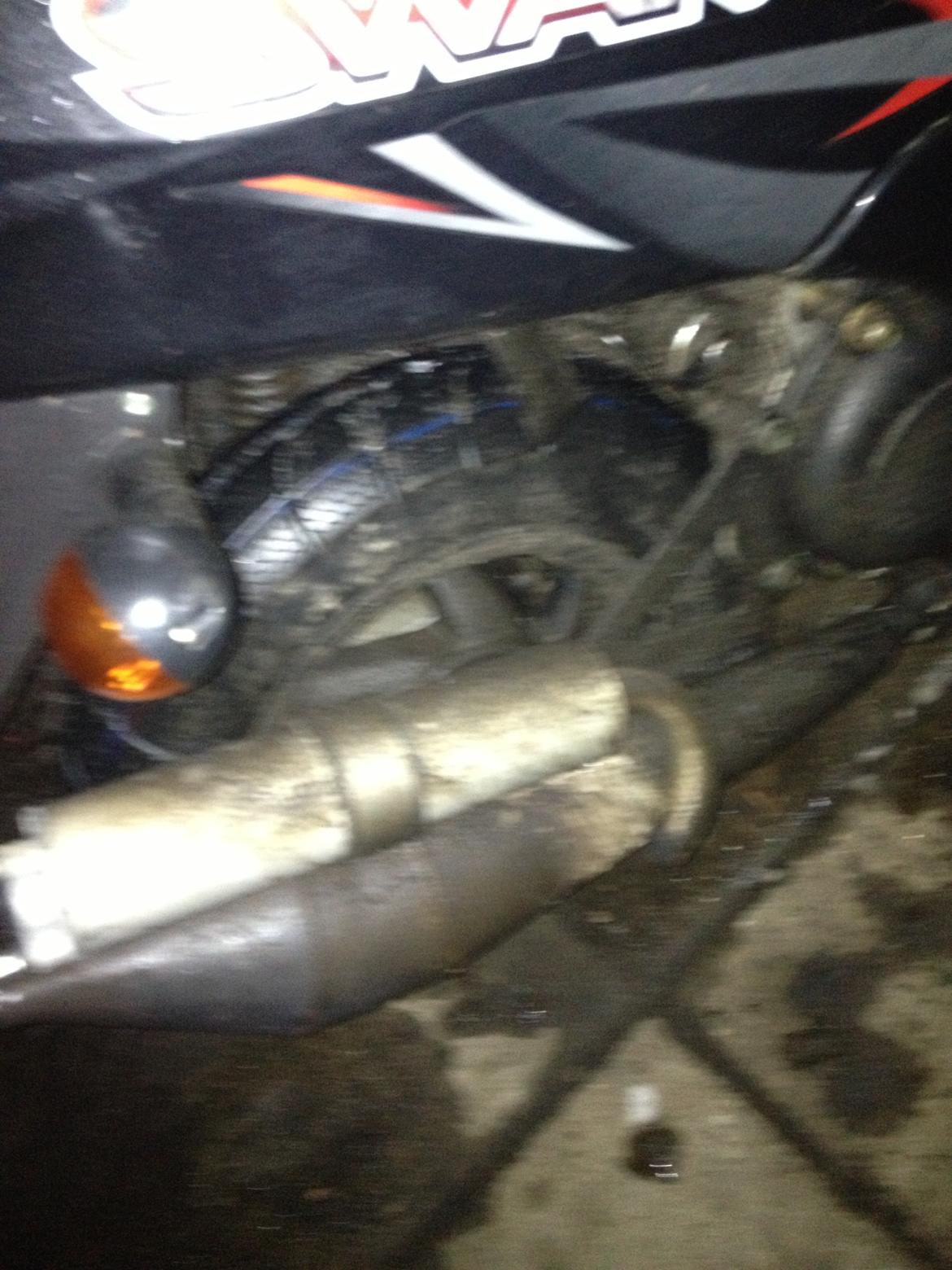 Leone swan billede 5