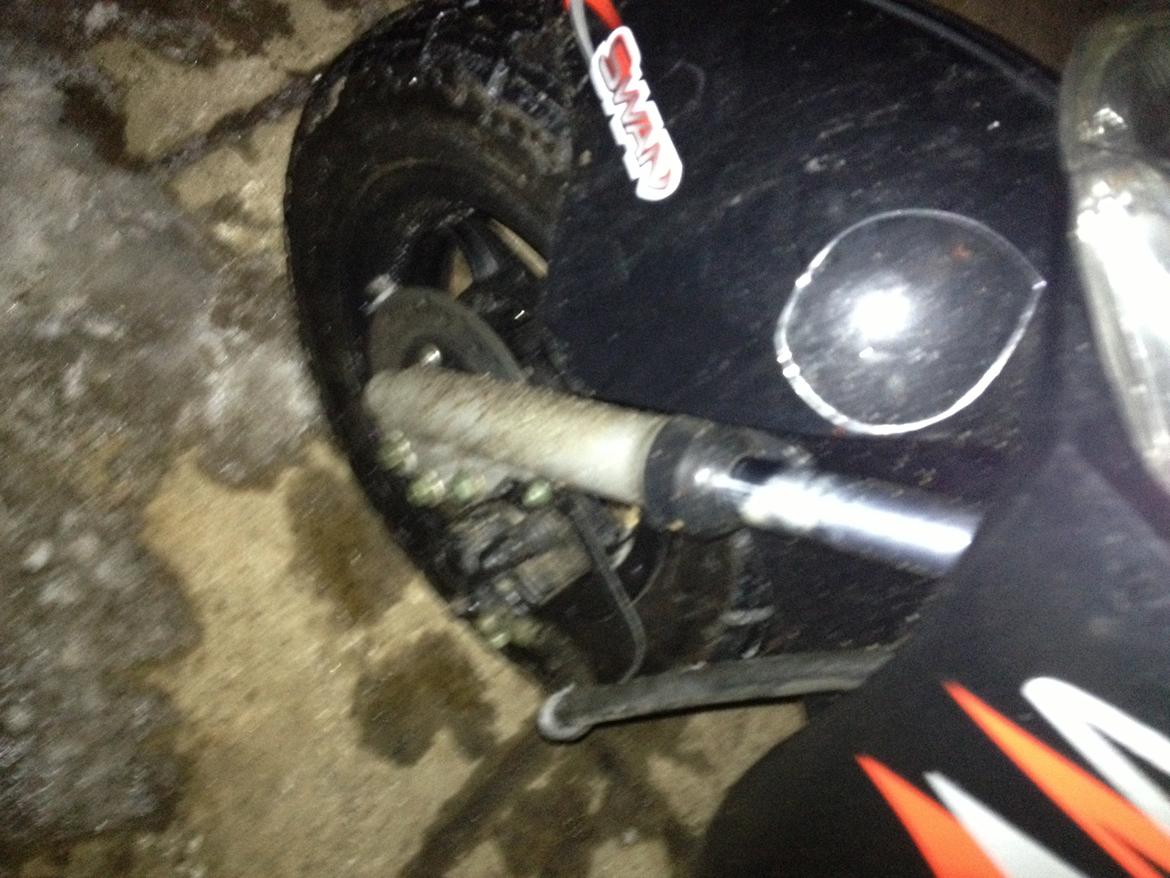 Leone swan billede 6