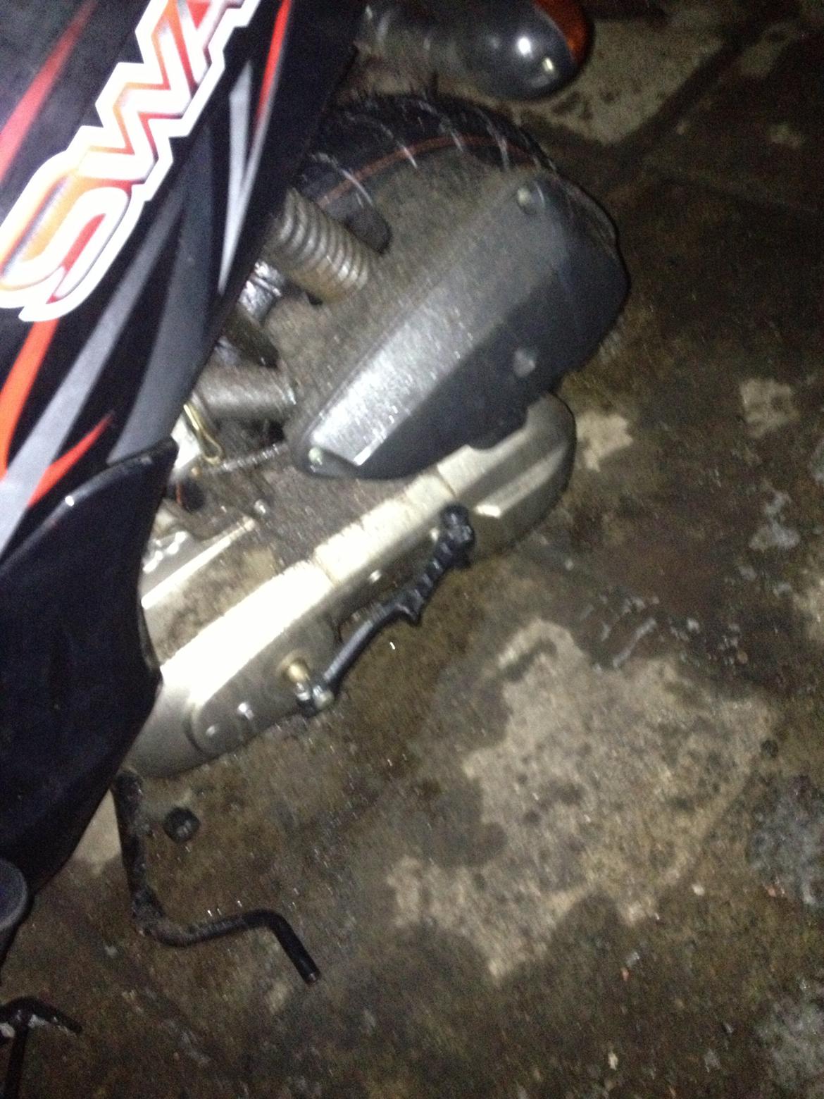 Leone swan billede 3